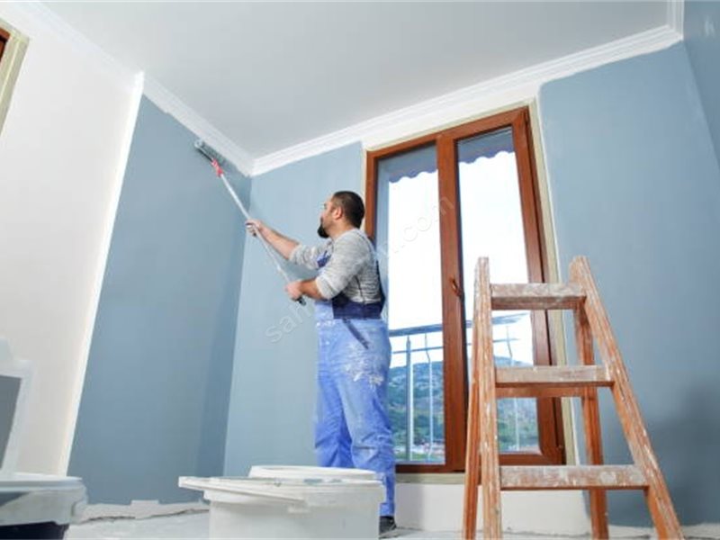 Karaisalı Boya Badanacı